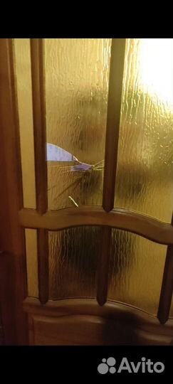 Стекла в двери