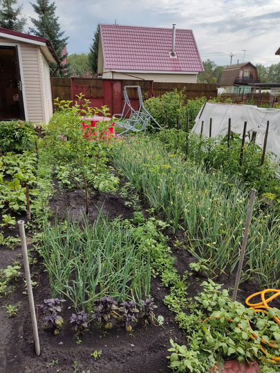 Дача 56 м² на участке 4 сот.