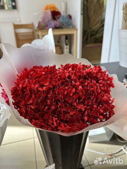 Гортензия стабилизированная, розы стаб