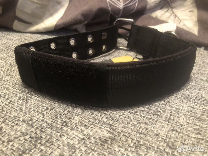 Ошейник для собак