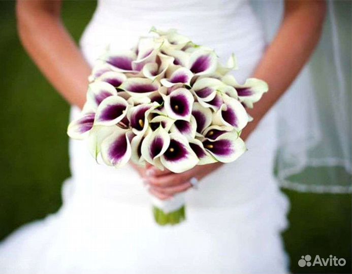 Букет невесты каллы