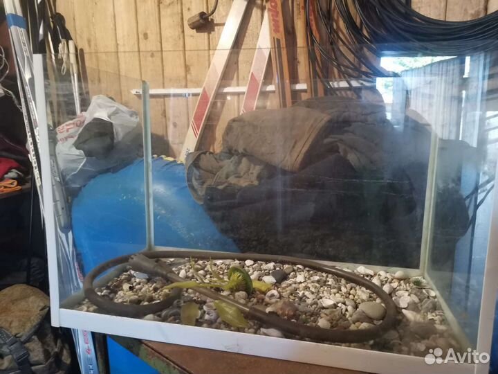 Аквариум