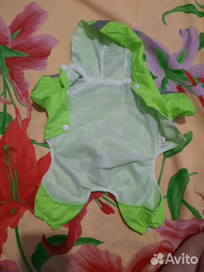 Одежда для собак мелких пород