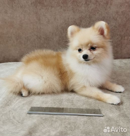 Супер мини девочки