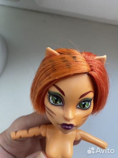 Торалей черлидер/группа поддержки