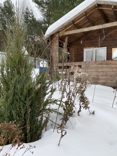 Дача 20 м² на участке 10 сот.