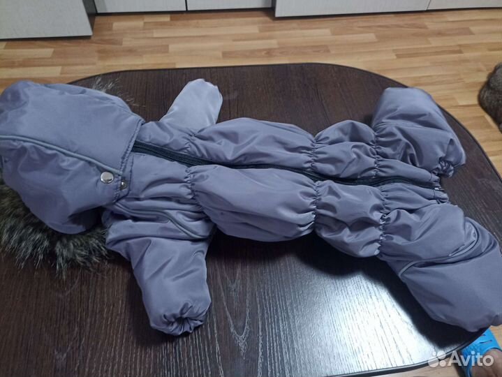 Одежда для собак мелких пород