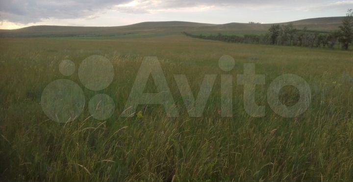 Участок 66 га (СНТ, ДНП)