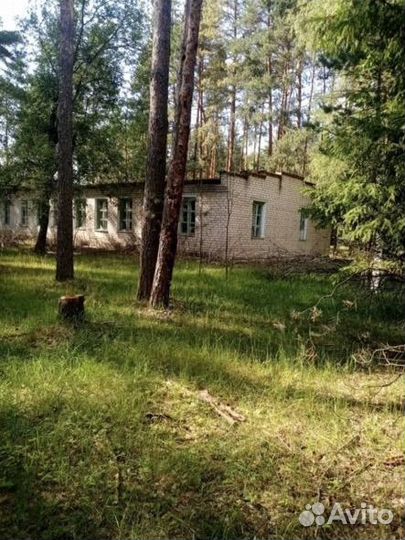 Детский оздоровительный лагерь