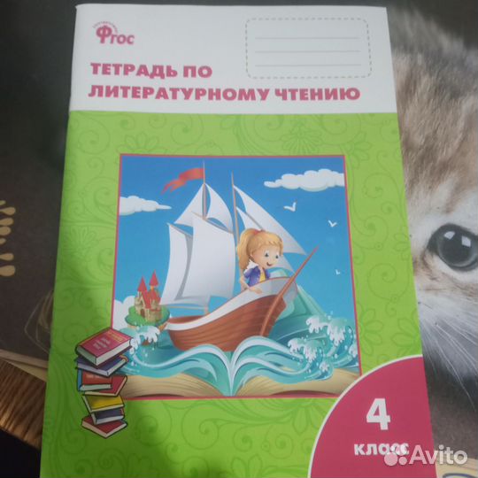 Тетради для работ по школьным предметам, 4 класс