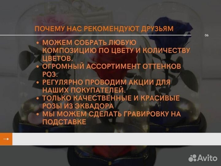 Роза в колбе. Живая