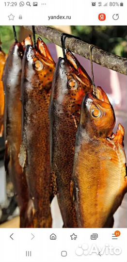 Продукты питания