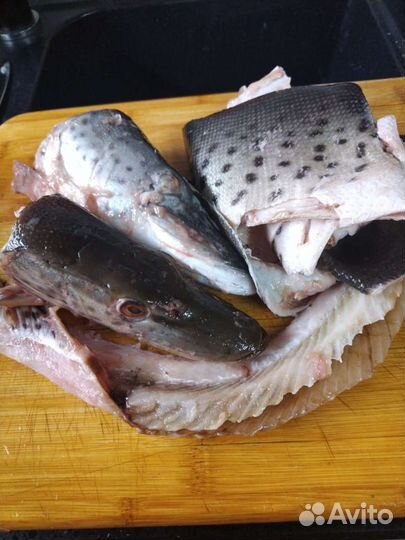 Рыбные отходы