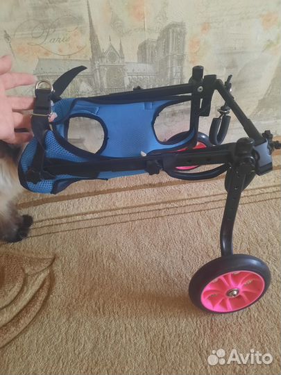 Инвалидная коляска для собак