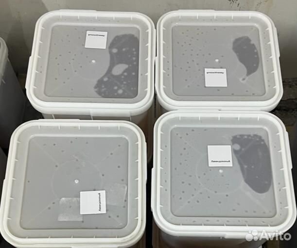 Свежий донниковый мёд. Качка 2023 Оптом