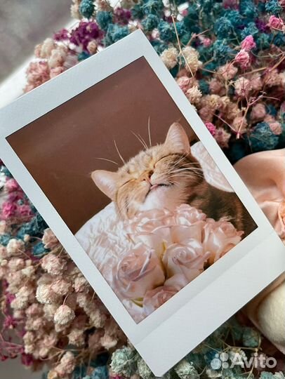 Печать фото Instax Mini Link 2