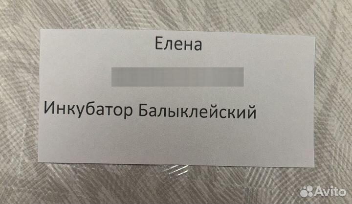 Бройлер, Утка, Индюшка