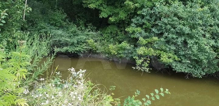 Участок 40 сот. (ИЖС)