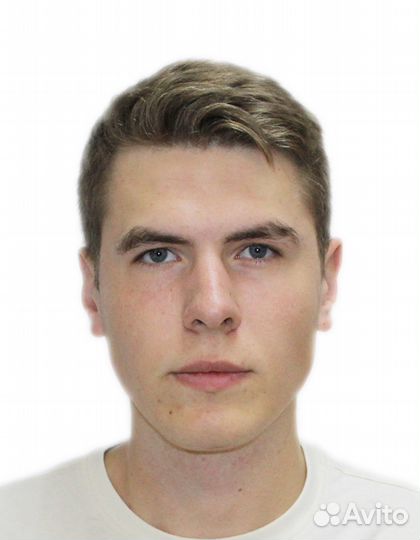 Репетитор по математике / физике / русскому языку