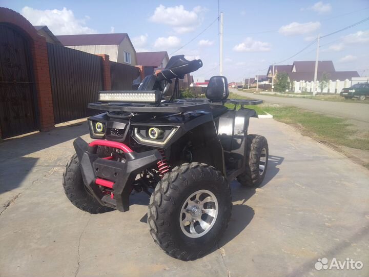 Avantis Hunter 200 new premium