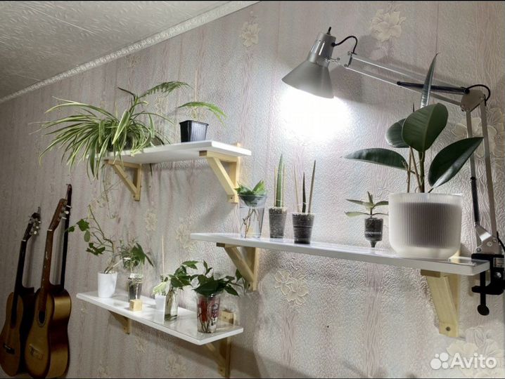 Полка навесная/ Дизайнерская полка