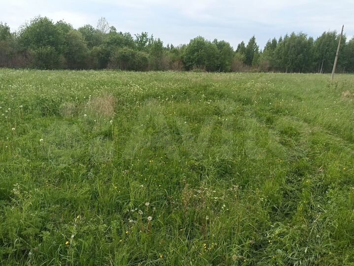 Участок 15 сот. (ИЖС)