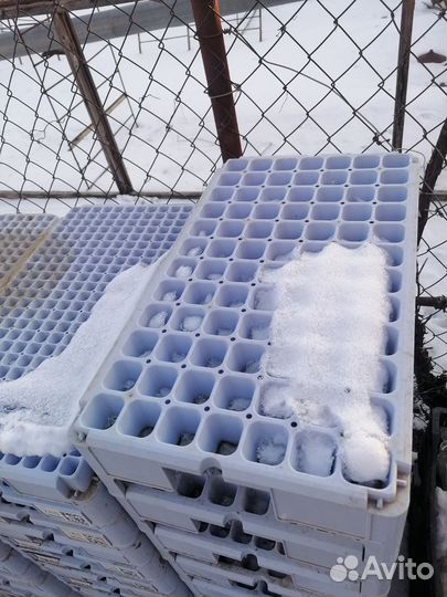 Пластиковые ящики бу для рассады