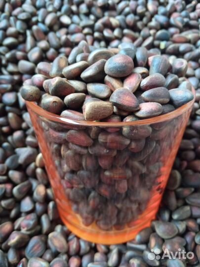 Кедровый орех