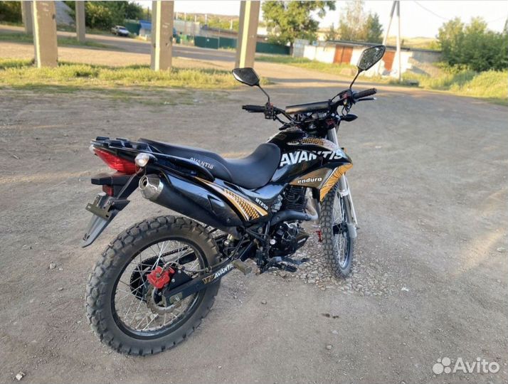 Avantis MT 250