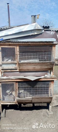 Клетки для разведения и содержания кроликов