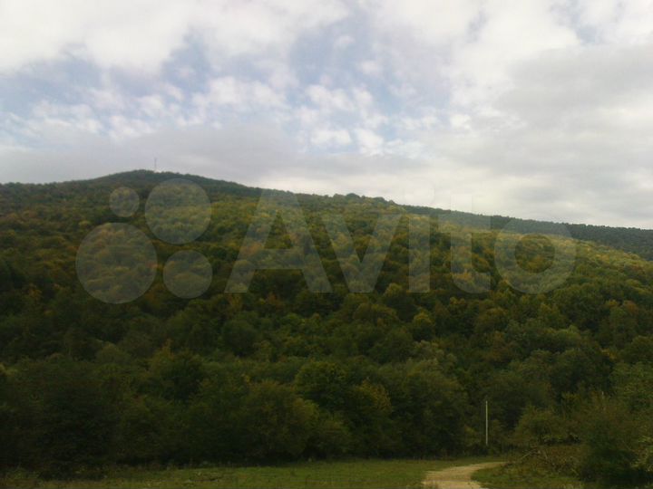 Участок 20 сот. (ИЖС)