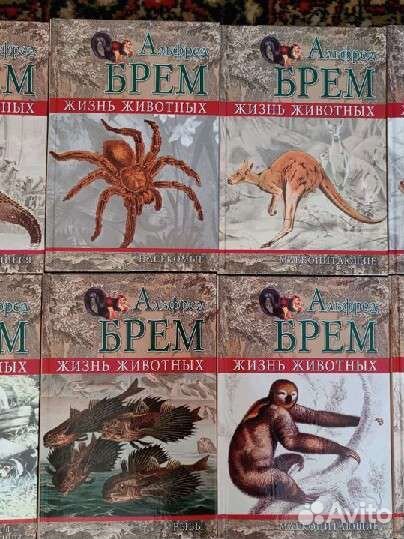Книги 24 тома