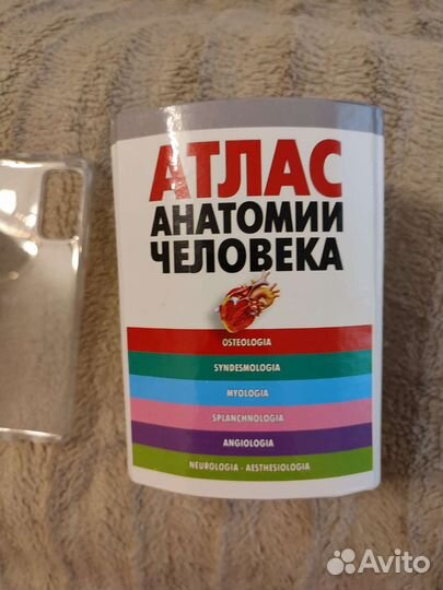 Атлас анатомии человека В. П. Воробьев