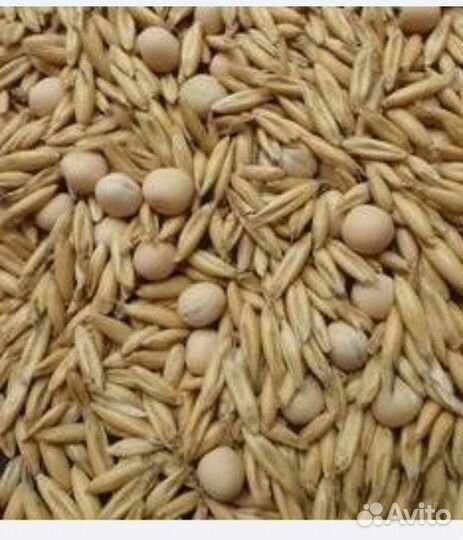 Овсянно-гороховая смесь