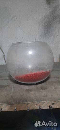 Аквариум