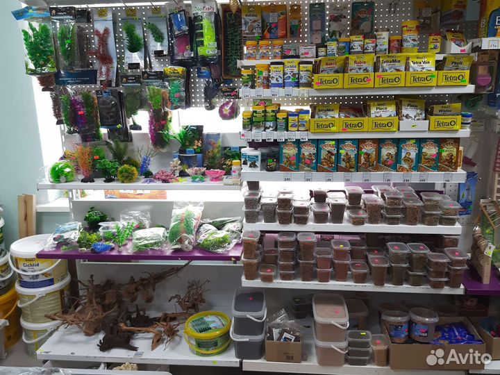 Боция клоун