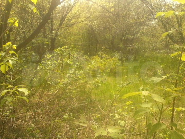 Участок 6,5 сот. (ИЖС)