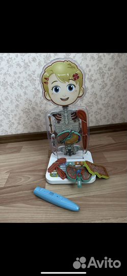 Занимательная анатомия Oregon