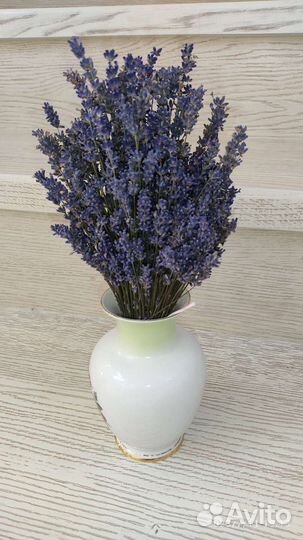 Лаванда сухая букетик