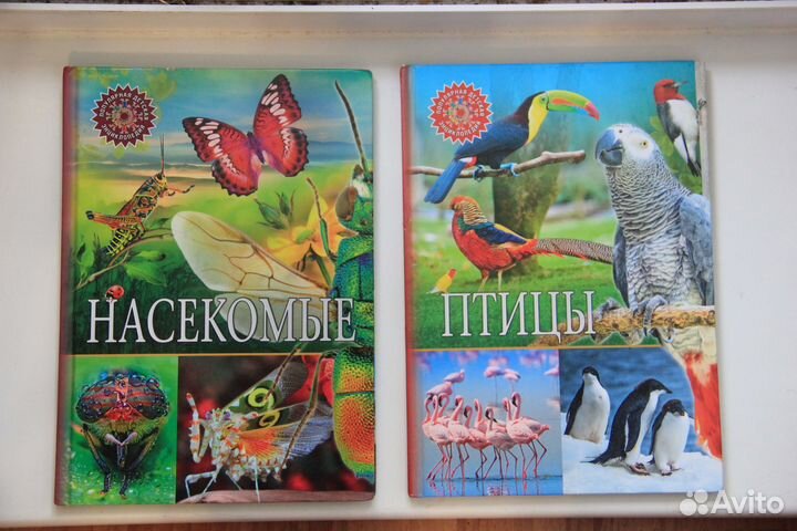 Детские энциклопедии Птицы, Насекомые