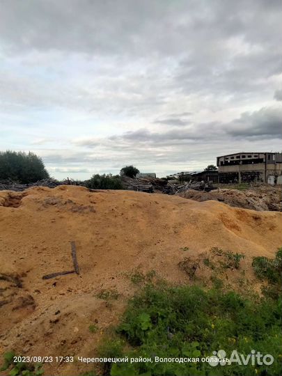 Дрова опилки бесплатно самовывоз