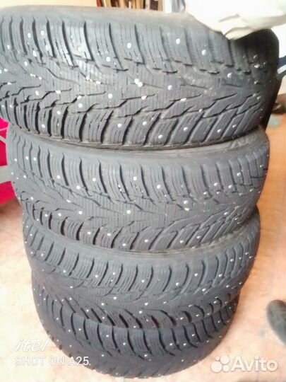 Nexen Winguard 215/60 R17