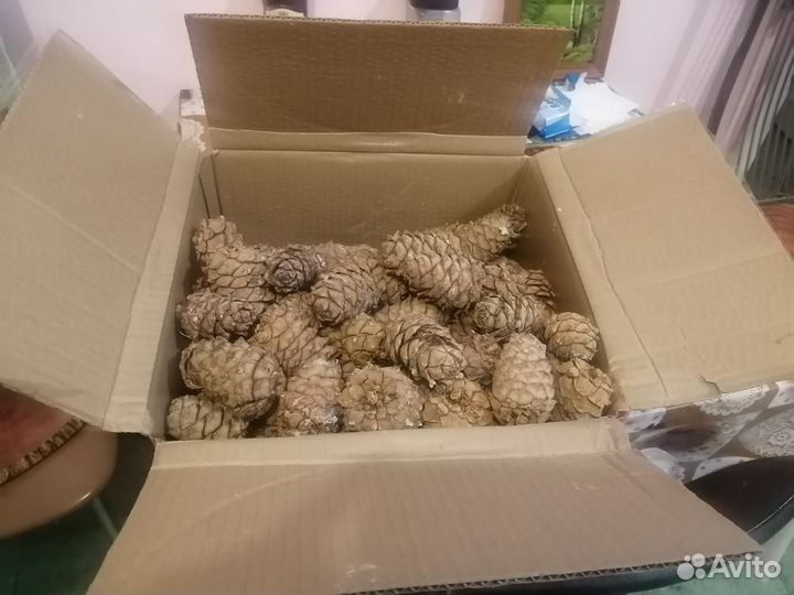 Коробка для хранения