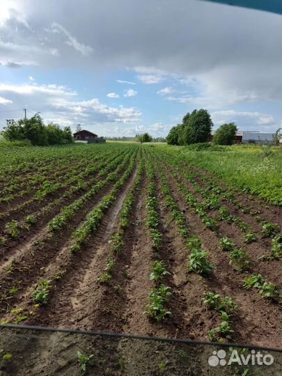 Сельхозтехника