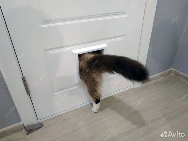 Дверь для кошки Белая