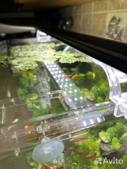 Светильник для аквариума dophin led-1090