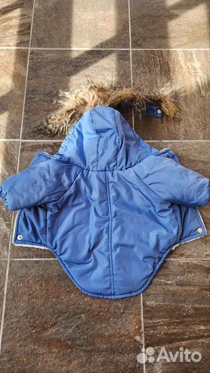 Пуховик для собаки с капюшоном