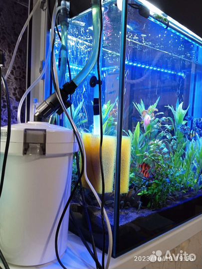 Аквариум