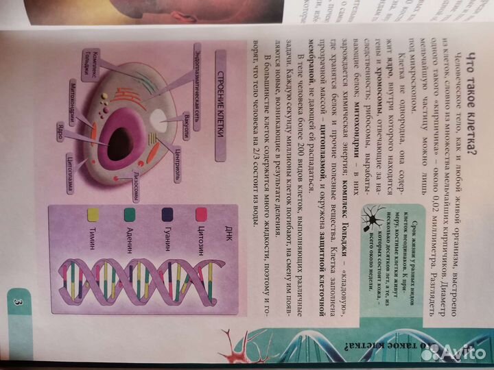 Детские энциклопедии