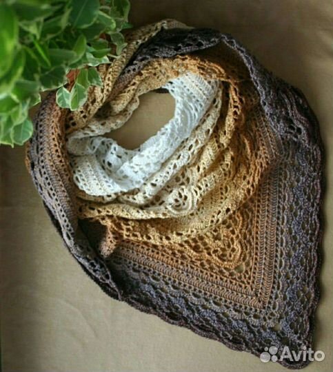 Бактус новый